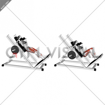 Sled Hack Squat (female) illustration