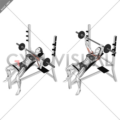 Barbell Incline Bench Press Female