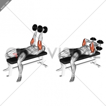 Dumbbell Neutral Grip Bench Press Gym Visual