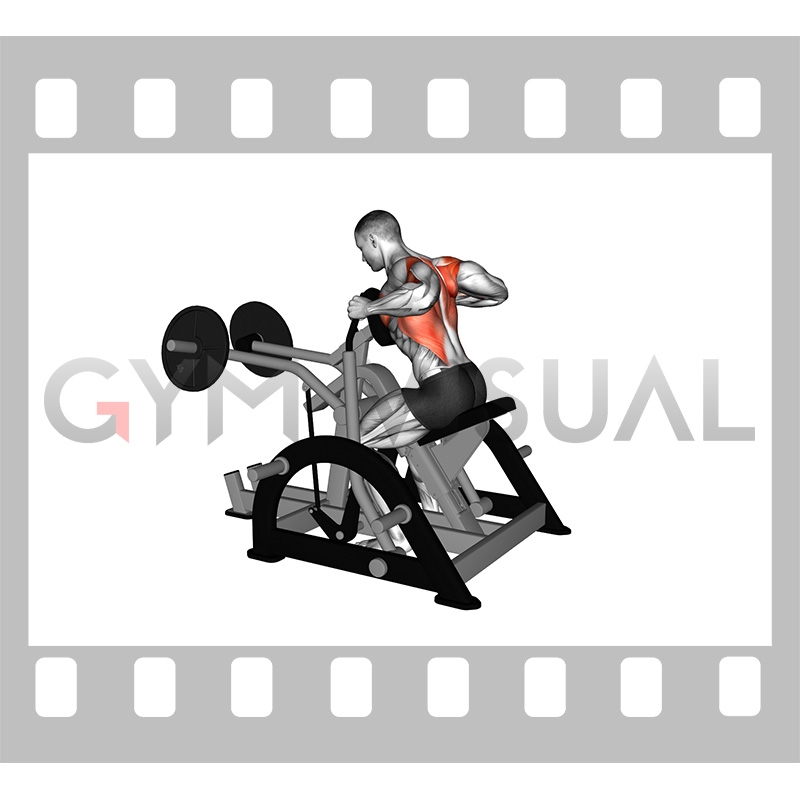 plate loaded seated row machine
