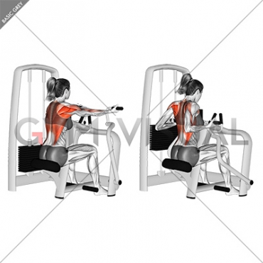 rowing machine reverse grip