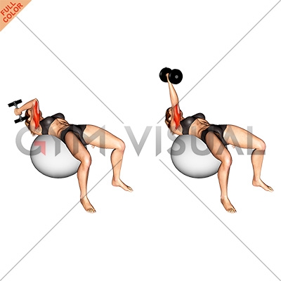 Single arm dumbbell french press