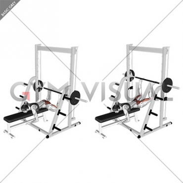 reverse hyperextension