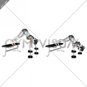 Pike Push Up On Bench