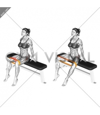 Media Content 365 Gym Visual
