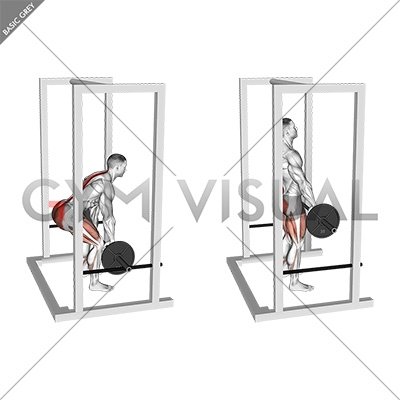 Barbell Rack Pull