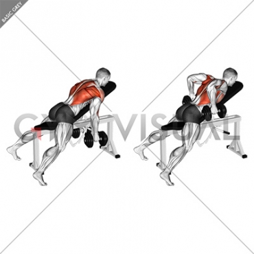 Dumbbell Hammer Grip Incline Bench Two Arm Row
