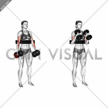 Single arm alternating hammer curls