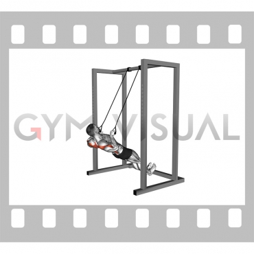inverted row with straps