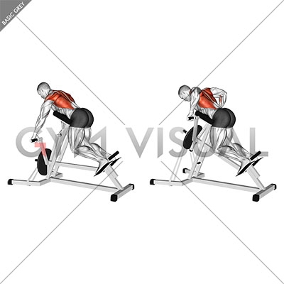 lying t bar row machine