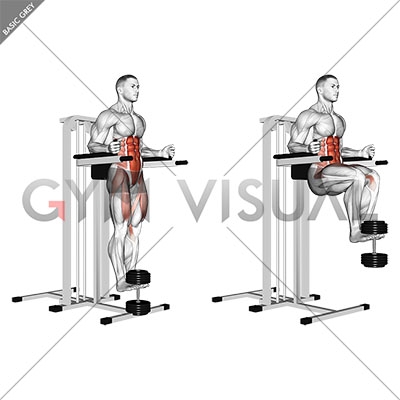 Captains Chair Leg Raise
