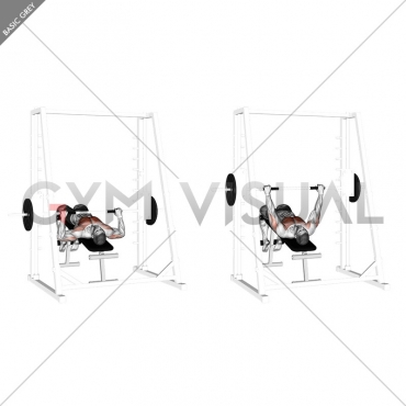 Smith Decline Bench Press Gym Visual