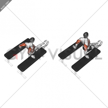 Triceps Dip Between Benches Gym Visual