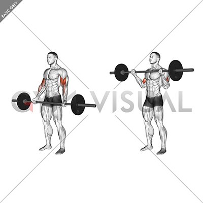 Barbell Standing Wide-grip Curl