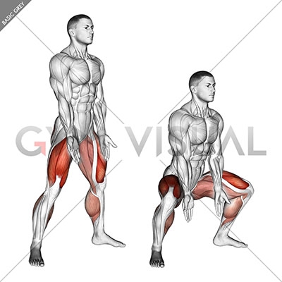 Sumo Squat