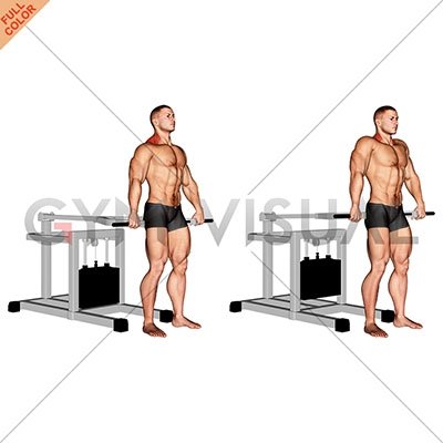 Lever Shrug Bench Press Machine