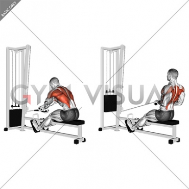 seated cable row with rope
