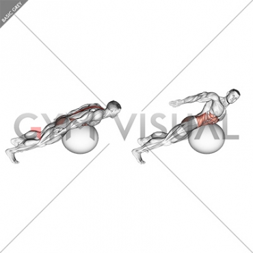 Exercise Ball Back Extension With Rotation