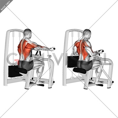 rowing machine reverse grip