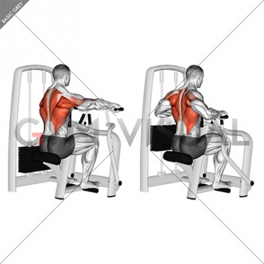 back seated row machine