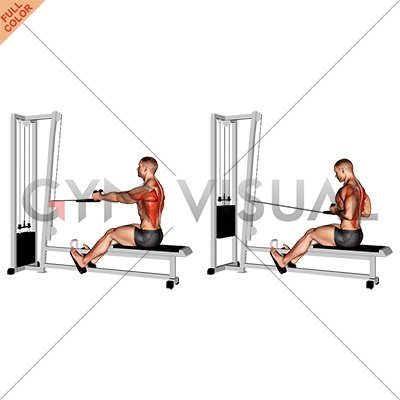 rope low cable row