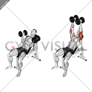 Dumbbell Palms In Incline Bench Press