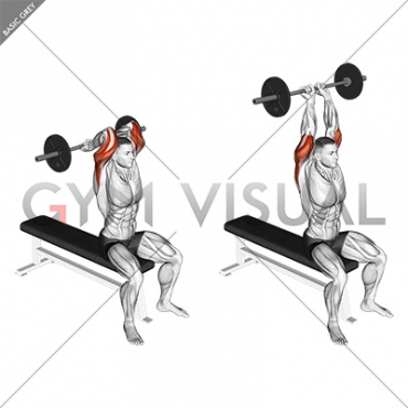 Barbell Seated Close grip Behind Neck Triceps Extension
