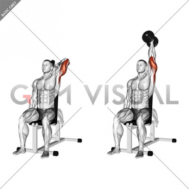 arm tricep extension