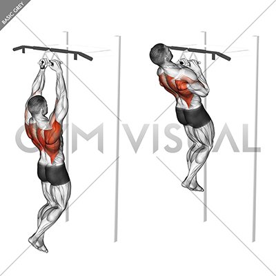 chin ups narrow parallel grip gym sign in sheet