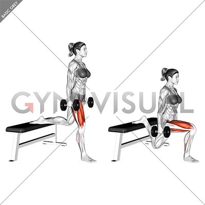 Dumbbell Bulgarian Split Squat (female)