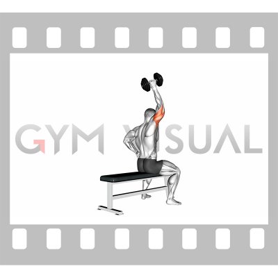 Dumbbell One Arm Triceps Extension On Bench