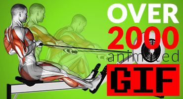 fitness vizual