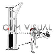 Cable Straight Legs Pull Through With Rope Female