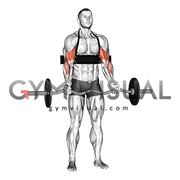 Ez Bar Biceps Curl With Arm Blaster The blaster has a charging bay. ez bar biceps curl with arm blaster