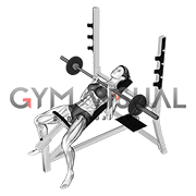 Https Encrypted Tbn0 Gstatic Com Images Q Tbn 3aand9gcqaoj0bpoi3evo3o Ah5na1evszj5ym2uqgeq Usqp Cau