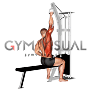 single arm lat pull downs
