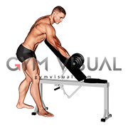 Dumbbell One Arm Zottman Preacher Curl