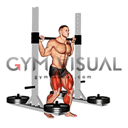 Strongman Yokes The 5 Best Yokes On The Market The Home Fit Freak
