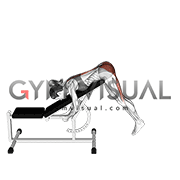 reverse hyperextension