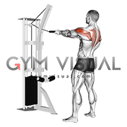 cable horizontal row