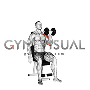 pic Single Arm Arnold Press Gif dumbbell seated one arm arnold press male