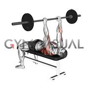 barbell pullover