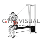 Cable Seated Crunch