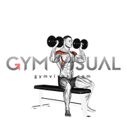 dumbbell bench seated press