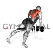 dumbbell incline row