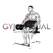 View Preacher Curls Gif Background