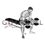 dumbbell seated neutral wrist curl