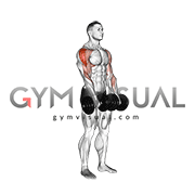 Dumbbell row Dumbbell row