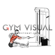 seated row single arm